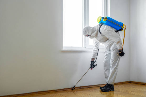 Professional Pest Control in Killen, AL